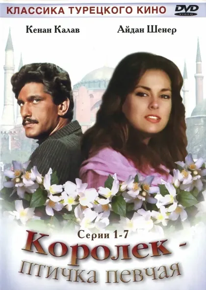 Хаяти Хамзаоглу